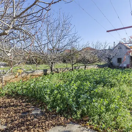 Holiday home House Ana Sestanovac